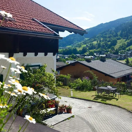 Kollinger *
