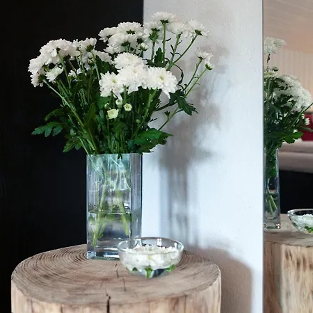 فيريانهاوس كولينغر بيت للعطل كابرون